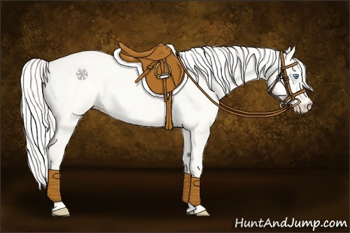 Horse Color:Cremello Dun