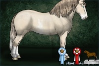 Horse Color:Chocolate Perlino Dun Sabino