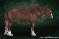 Horse Color:Chocolate Brown Sabino
