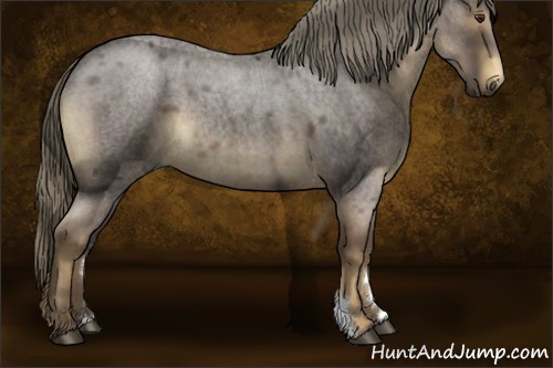 Horse Color:Liver Red Roan Mushroom 