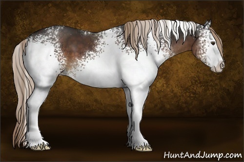 Horse Color:White Spotted Liver Chestnut Sabino 