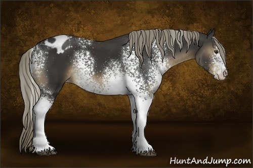 Horse Color:White Spotted Liver Chestnut Mushroom Varnish