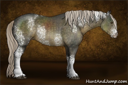 Horse Color:White Spotted Chocolate Palomino