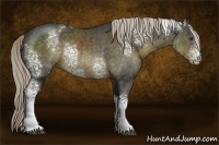 Horse Color:White Spotted Chocolate Palomino