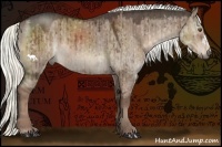 Horse Color:Liver Red Dun  and Liver Red Dun 