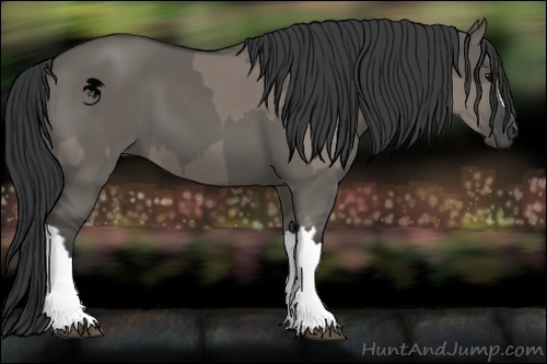 Horse Color:Grullo  and Grullo 