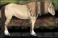 Horse Color:Sable Champagne Dun  and Gold Champagne Dun 