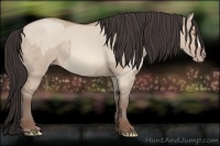 Horse Color:Sable Champagne Dun and Sable Champagne Dun Rabicano