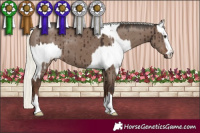 Horse Color:Red Dun Mushroom Appaloosa Brindle  and Liver Red Dun Mushroom Brindle 