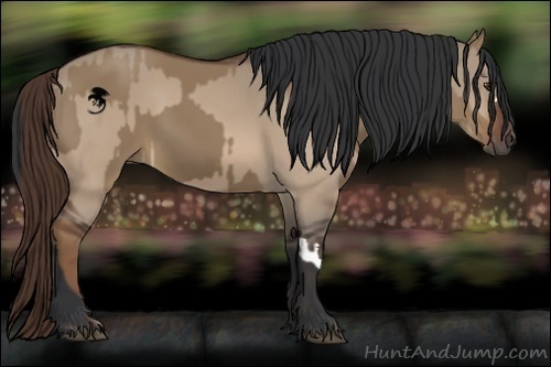 Horse Color:Liver Red Dun and Brown Dun