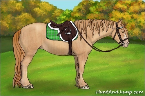 Horse Color:Gold Champagne and Gold Champagne