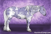 Horse Color:Watercolor White Spotted Silver Black Chinchilla Ice Sabino 