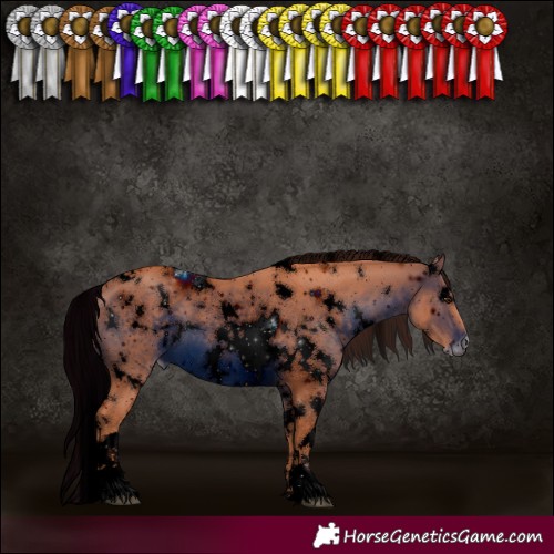 Horse Color:ERROR: UNKNOWN ANOMALY