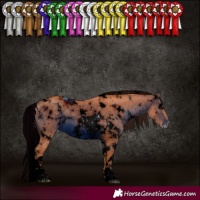 Horse Color:ERROR: UNKNOWN ANOMALY