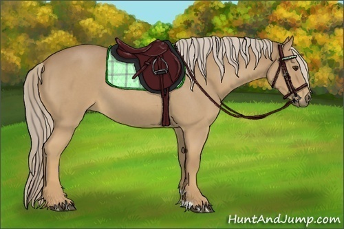 Horse Color:Palomino Roan 
