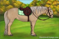 Horse Color:Palomino Roan 