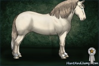 Horse Color:Perlino Dun Sabino 