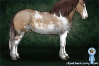 Horse Color:Chocolate Buckskin Dun Sabino