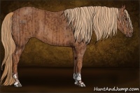 Horse Color:Chestnut  and Chestnut 