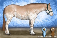 Horse Color:Bay Pearl and White Spotted Bay Pearl