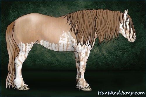 Horse Color:Liver Chestnut Pearl and Liver Chestnut Pearl Splash