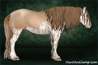 Horse Color:Liver Chestnut Pearl  and Liver Chestnut Pearl Splash 