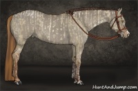 Horse Color:Liver Red Dun Pearl  and Liver Red Dun 