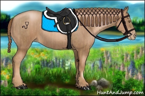 Horse Color:Liver Chestnut Pearl  and Liver Chestnut Pearl 