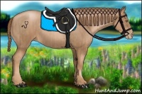 Horse Color:Liver Chestnut Pearl  and Liver Chestnut Pearl 