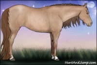Horse Color:Bay Pearl  and Bay Pearl 