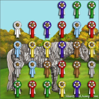 Horse Color:Gray Liver Chestnut Appaloosa  and Silver Brown Appaloosa Rabicano 