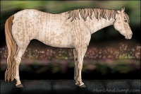 Horse Color:Liver Chestnut Pearl  and Gold Champagne Pearl 