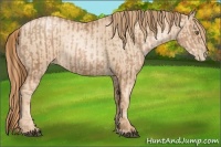 Horse Color:Liver Chestnut Pearl  and Gold Champagne Pearl 