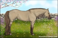 Horse Color:Liver Red Dun Roan 