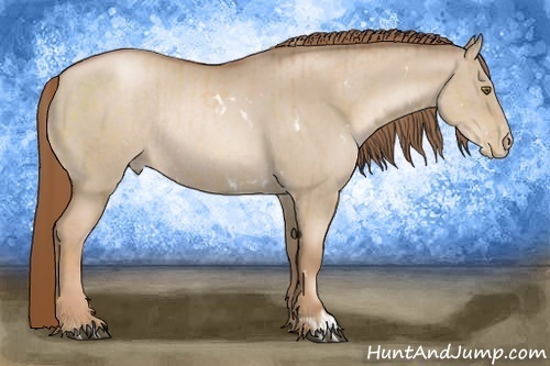 Horse Color:White Spotted Liver Chestnut Pearl  and Liver Red Dun Pearl Rabicano 