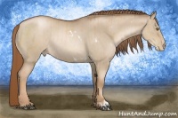 Horse Color:White Spotted Liver Chestnut Pearl  and Liver Red Dun Pearl Rabicano 