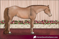 Horse Color:Brown Pearl  and Brown Pearl 