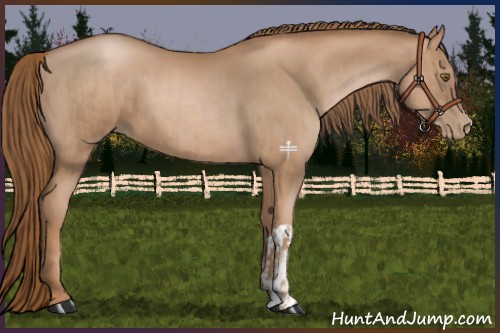 Horse Color:Liver Chestnut Pearl  and Liver Chestnut Pearl 