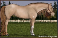 Horse Color:Liver Chestnut Pearl  and Liver Chestnut Pearl 