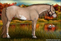 Horse Color:Liver Chestnut Pearl  and Liver Chestnut Pearl Frame 