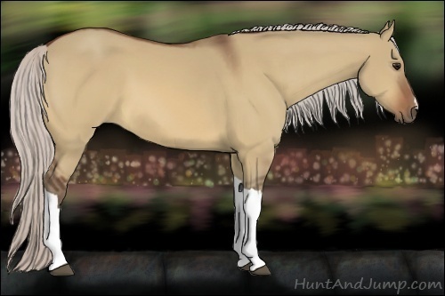 Horse Color:Silver Bay Dun 