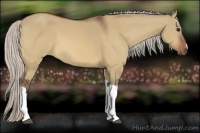 Horse Color:Silver Bay Dun