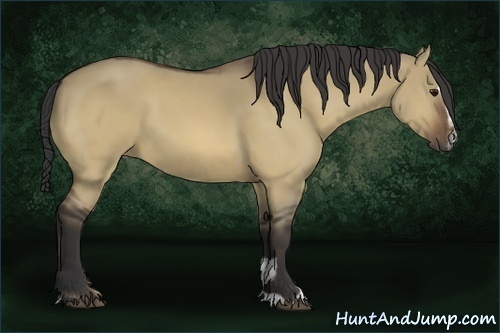 Horse Color:Buckskin Dun Sabino