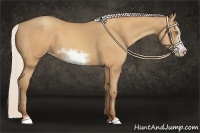 Horse Color:Silver Amber Champagne Sabino Frame 