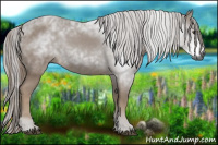 Horse Color:Gray Chestnut Sabino