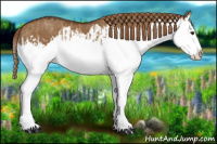 Horse Color:Red Dun Splash  and Gray Red Dun Splash 