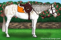 Horse Color:Red Dun Splash  and Red Dun Splash 