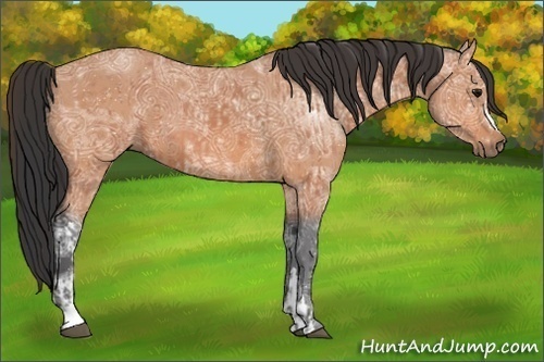 Horse Color:Bay Ice and Bay Ice