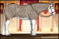 Horse Color:Red Dun Ice Splash and Red Dun Ice Splash