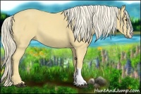 Horse Color:Palomino